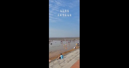 海邊尋寶，劉家灣趕海園—泰安金輝國(guó)旅